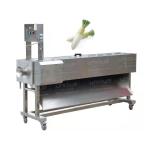 220V Voltage Stainless Steel Automatic Root Vegetable Mooli Peeling Machine for