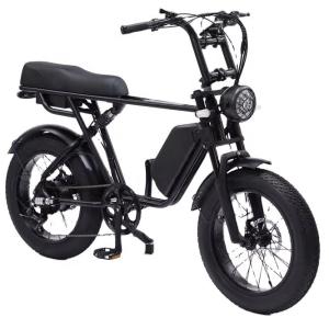 China 48V 750W Motor Electric Hybrid Bike Full Suspension 20 Inch Fat Tire Ebike 17Ah Battery factory