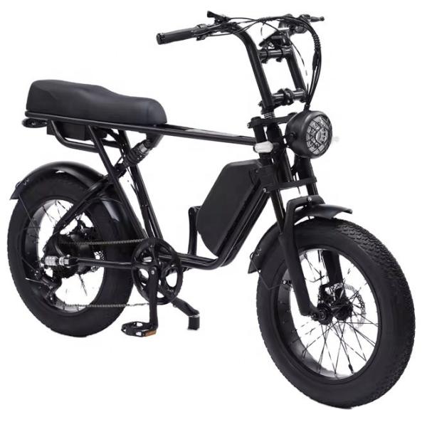 48V 750W Motor Electric Hybrid Bike Full Suspension 20 Inch Fat Tire Ebike 17Ah