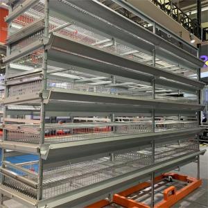 China Automatic Egg Quail Cage For 6 Tier Cage Capacity 200000 Quail Per Farm factory