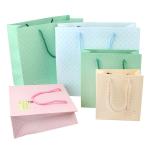 Gold stamping logo printing fashion luxury biodegradable jewelry paper gift bag