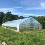 Reasonable Cost Plastic Film Greenhouse 0.12mm-0.2mm Thickness