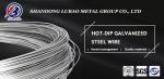 High Carbon Steel SAE1040 SAE1045 1.0mm 2.0mm Hot Dip Galvanized Steel Wire