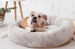 China Calming Dog Bed 80cm 100cm Donut Cat Bed Covered Dog Bed Anxiety Dog Mattress Bed factory