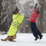 Reflective Dog Raincoat - Adjustable Waterproof Raincoat for Dogs, Lightweight