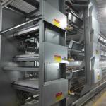 H Type Layer Chicken Cage Q235A Automatic 4 tiers Galvanized Wire