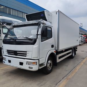 DONGFENG RUNLI 4x2 New Manual Diesel Refrigerator & Freezer Truck with -18-20C