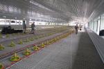 Q235B Steel Structure Poultry House Painted Steel Frame Chicken Coop