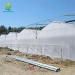 OEM Agricultural PC Sheet Greenhouse