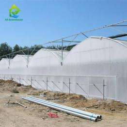 OEM Agricultural PC Sheet Greenhouse