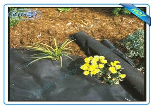 China Anti UV Agriculture Non Woen Cover Weed Control Fabric on sale