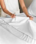 Hotel Living 5 Star Luxury Home Bedding in Customized Color 100% Cotton