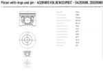 100% Tested Piston with Rings and Pin 40289610 KOLBENSCHMIDT 04283698 20839988