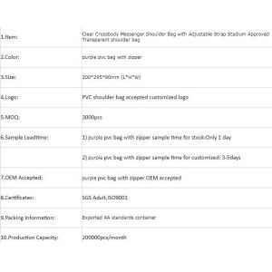 Backpack Shoulder Biodegradable Shopping Bags Promotional Waterproof Cosmeti