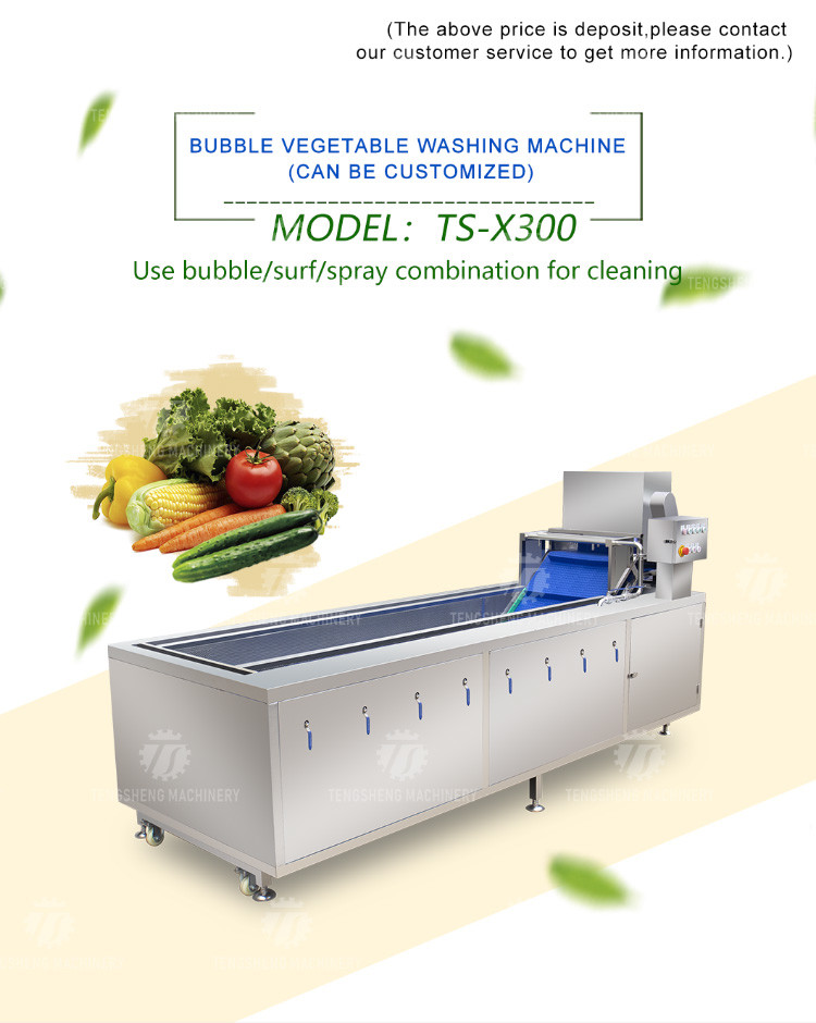 240KG Washing machine Fruit and vegetable washing machine vegetable cleaning equipment product cleaning equipment