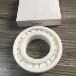 6004CE Full Ceramic Ball Bearings