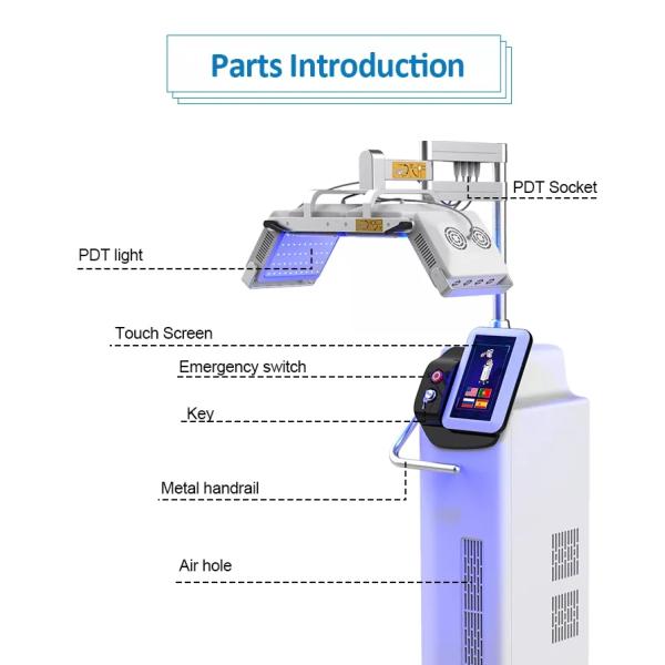 BIO Facial Beauty Therapy Machines PDT Lamp Skin Care Beauty Device 1000W