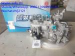 injection pump 4110000991002 /13053063 for Weichai Deutz TD226B WP6G125E22,