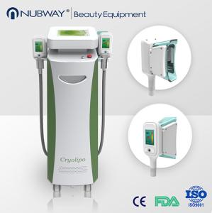 China cryolipolysis cavitation rf machine / cryolipolysis vacuum body slimming fat removal machine factory