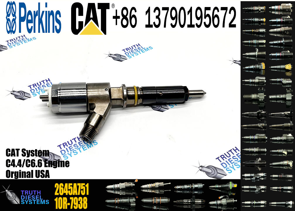 Fuel Injector Assembly 2645A709 295-9130 382-0480 282-0490 292-3780 306-9380 306-9390 310-9067 2645A751