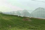 Single Thread Agricultural Insect Netting / Insect Screen Roll UV Stabilized