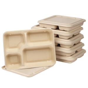 China 4 Compartments Biodegradable Sugarcane Bagasse Plates Compostable For Lunch factory