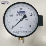 NO+NC 1MPa Natural Gas Pressure Test Gauge 4 Inch 100mm Electric Contact