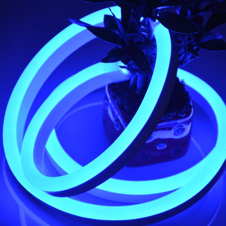 220V 110V 50m Indoor Outdoor Flex LED Neon Rope Light for Holiday Party Valentine Decoration Blue Yellow White by DHL