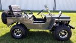 Forest Road Wheelbase 50' 125cc 7L 2 Person Go Kart