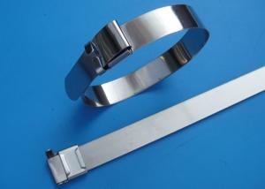 China SS201 / 304 / 316 Stainless Steel Wire Ties With Wing Seals Locking Eco Friendly factory