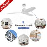 52 Inch White Solid Wood Blades DC Motor LED Ceiling Fan Not Equipped NO App