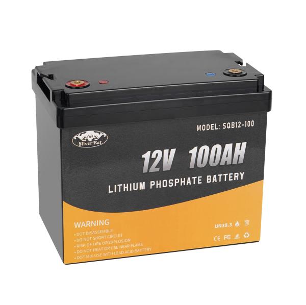 12V 100Ah LiFePO4 Battery Built-In 100A BMS, Up To 6000 Cycles, Perfect For RV,