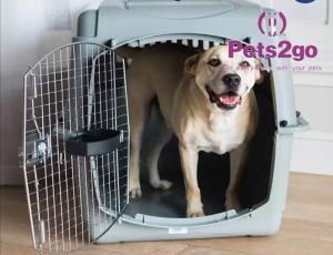 China High Transparency 36X40CM 1.70KG PVC Pet Carrier Cage factory