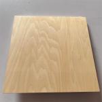 Practical Heatproof Veneer Sheets Wood Moisture Proof Hardwood Faced Ply