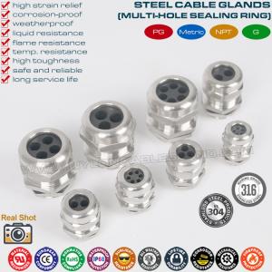 China IP68 Brass Multi-Hole Cable Glands, 304/316 Stainless Cable Glands PG &amp; Metric c/w Multi-Orifice (Multi-Entry) Seal factory