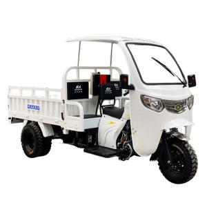 China Standard Size 3 Wheel Gasoline 200cc/250cc/300cc Motorcycle Engine Cabin Cargo Tricycle factory