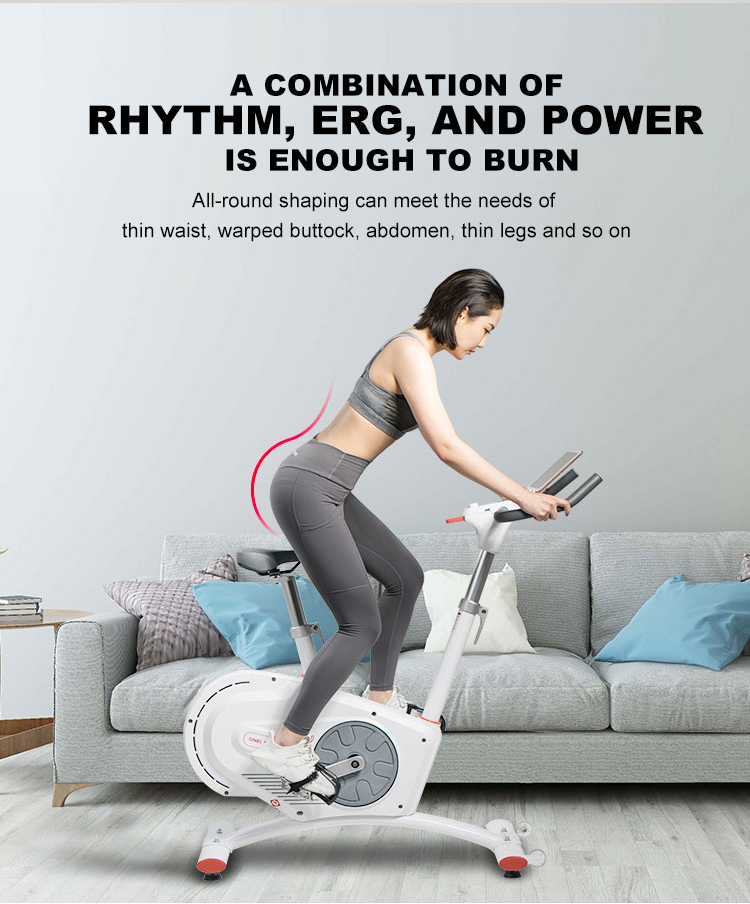 Get In Shape At Home Noiseless Indoor Gym Exercise Spinning Bike With Max Torque 32N