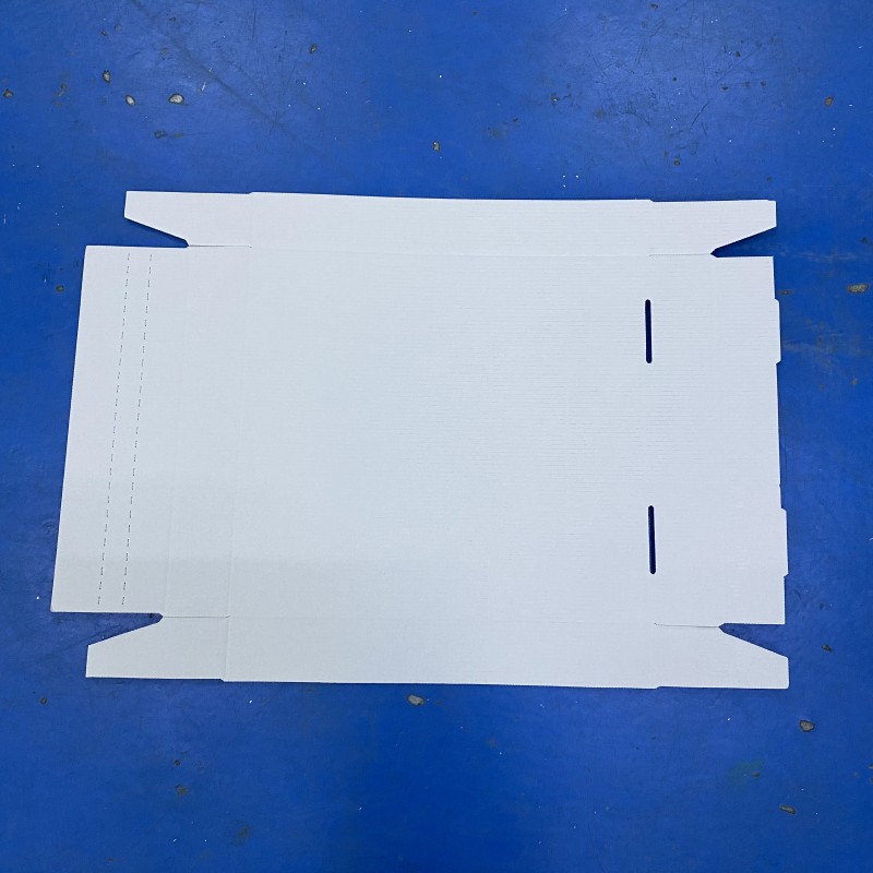 Fully Automatic Carton Box Folding Machine 380V Small Business Equipment