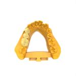 Multi-color Permanent Crown Bridge UV Resin Dental Light Curing 3D Printer High