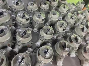 China Marine Grade Aluminum 2 Pole 10A Explosion Proof Switch IP66 Dustproof G3/4 Cable Entry factory