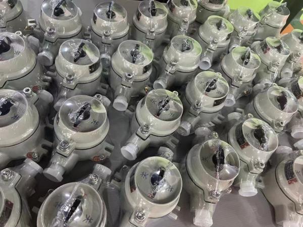 Marine Grade Aluminum 2 Pole 10A Explosion Proof Switch IP66 Dustproof G3/4