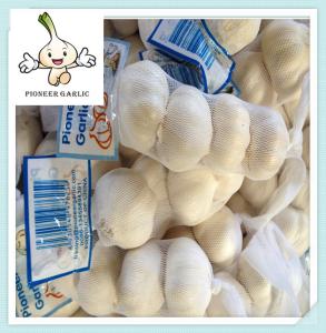 China China New Crop Fresh White Garlic Lowest Price fresh garlic manufacturers factory