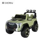 CJ-6188 12V 2 Seater Kids Ride on UTV Car, 4.5AH Electric Vehicle Truck Car with