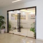 All Weather Aluminum Pivot Doors Secure Locking System Swing Pivot Doors