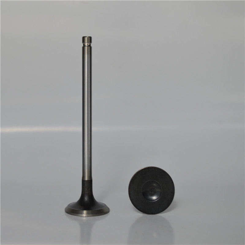 Intake & exhaust Valve For Nissan PE6 Engine IN 13201-96002/EX 13202-96002