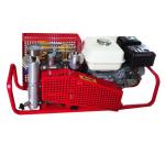 220 volt 50hz single phase/three phase/gasoline engine breathing air compressor