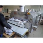 DJL Liquid Nitrogen Machine Tunnel Freezer Products Freezing For Seafood Shrimp