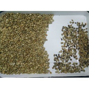 Mini Smart Coffee Beans Nut Sorting Machine With 32 Channels Nir Sensor