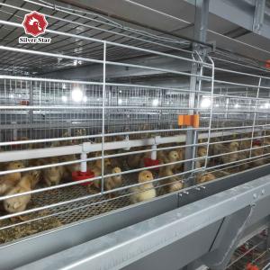 China Hot Galvanizing 6 Tiers 204 Birds Broiler Cages Chicken Raising factory