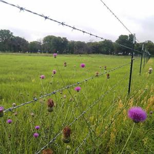 China Reliable Quality Barbed Wire Chain Link Fence Galvanized Surface Treatment factory